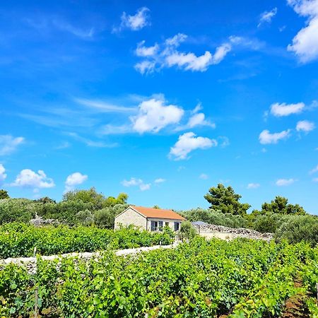 Вилла Stone House In Vineyard Рачишче Экстерьер фото