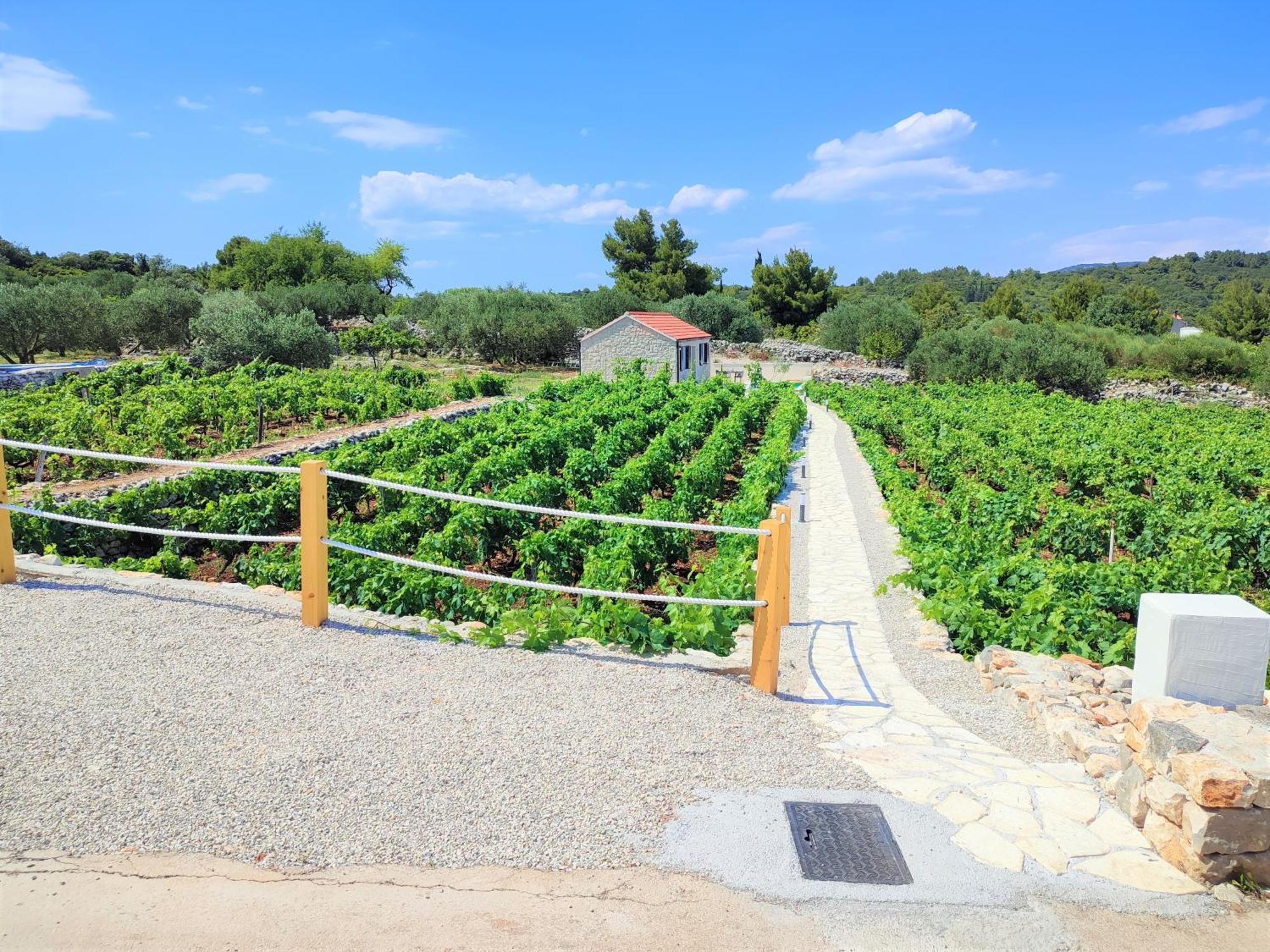 Вилла Stone House In Vineyard Рачишче Экстерьер фото